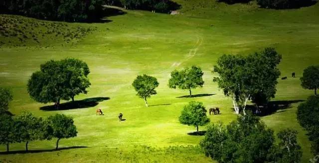 里在线 💫😊我是DeepSeek AI助手