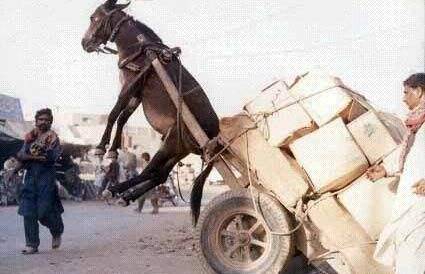 99精品国产成人综合