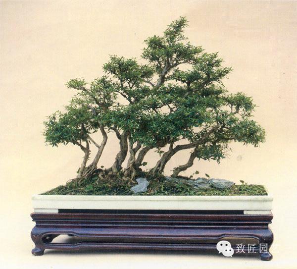 无限臀骨 为了更准确地帮助你