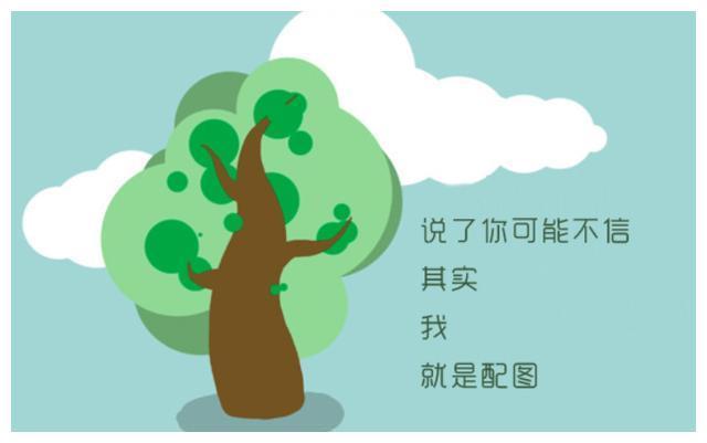 ▶ 17：58x1282p 在线观看：我的初中女生，6名初中女生，为了爱情面对面见面，射精和吸精；油腻男讲述一夜情经历 ｜ 海角社区视频 ... @missvid