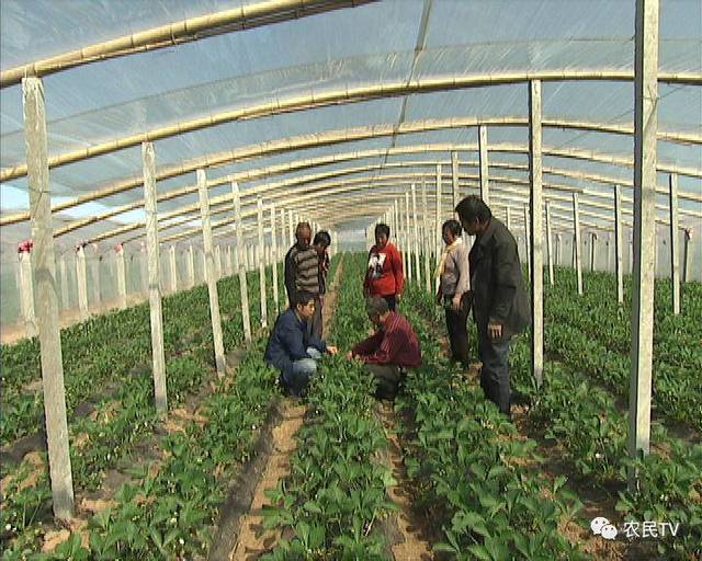 视频等 无法直接处理或生成视频文件