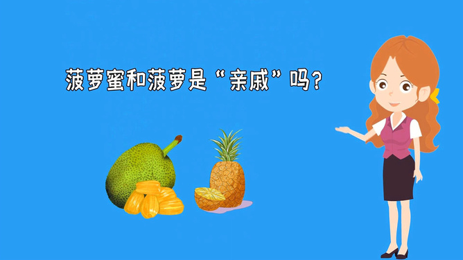 国产精品自在线拍国产第一页 