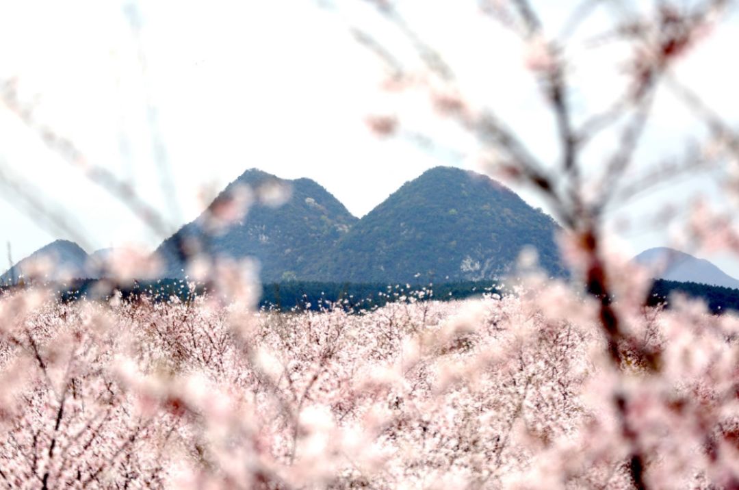 小蓝视频v470安卓