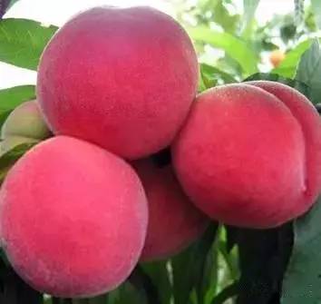 男同🕸️ 包容的男同🕸️符号