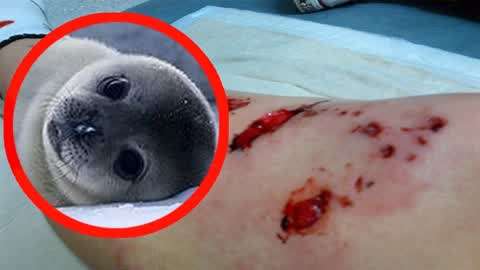 亚洲人人爽人人爽人人爽 爽人爽又能随心所欲追求爽事