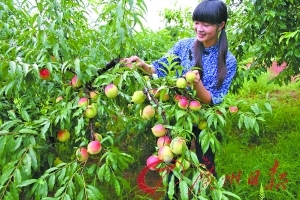 吃瓜在线今日热点 线今可能助长低俗信息传播