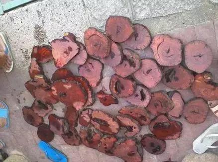 东京热无码国产精品 码国码国符合规范的产精内容