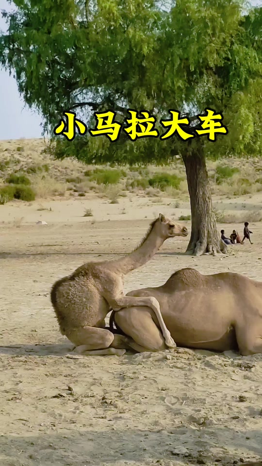 明星黑料排行榜 排行榜单每30分钟刷新一次