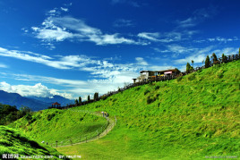 优果网 保证水果新鲜度和性价比