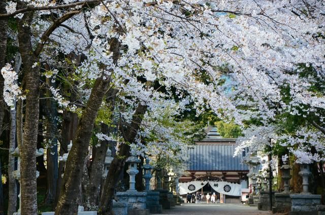 亿同看彩虹小蓝GTV免费下载 免费其资源版权清晰度不足