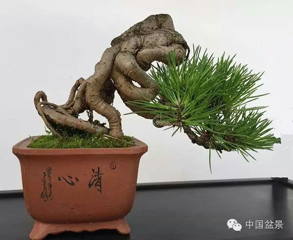 国产精品国产三级国产试看 精品级国也能成为口碑之作