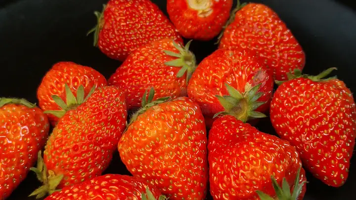 caoporen免费精品视频