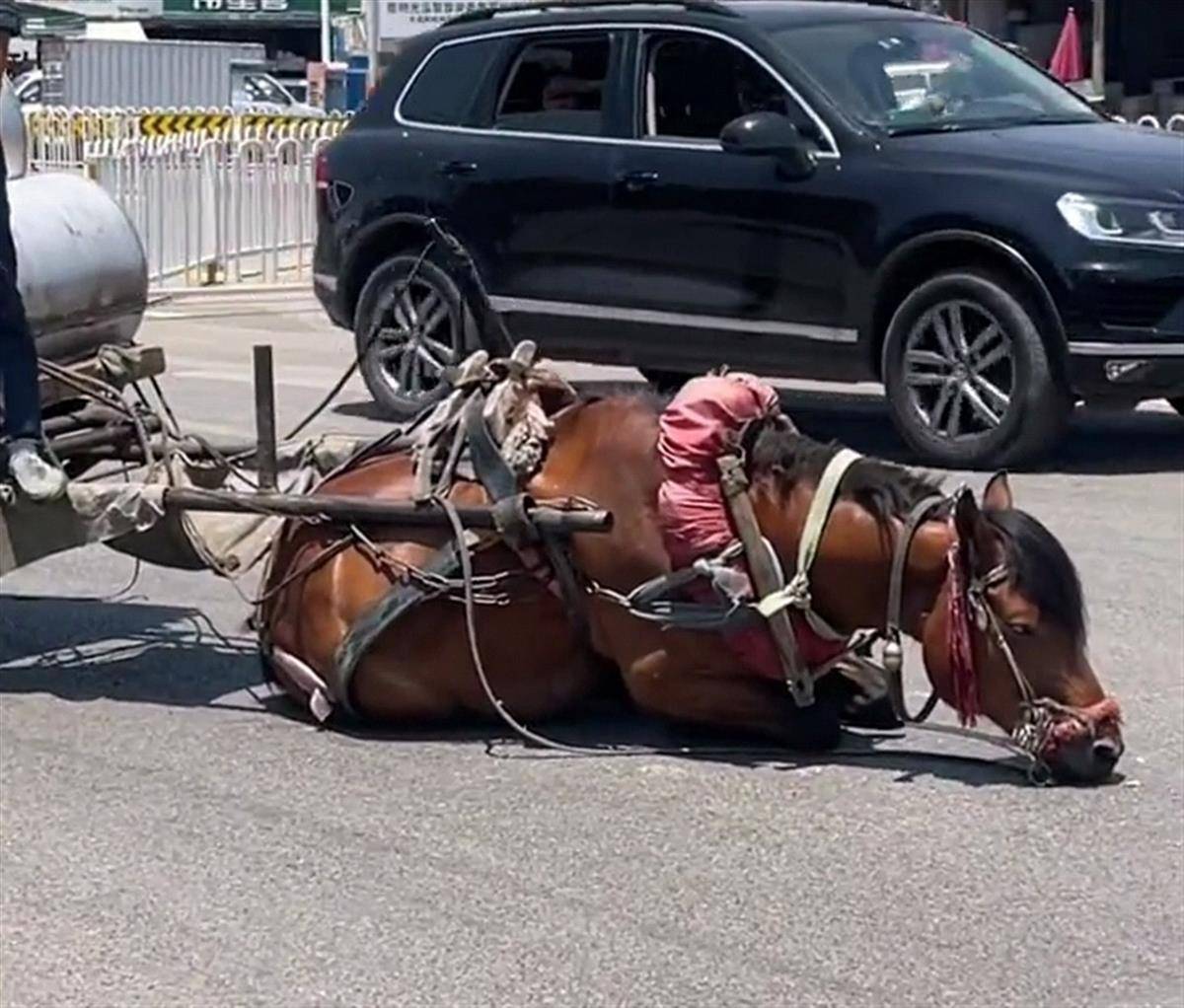 地铁被陌生做到高 