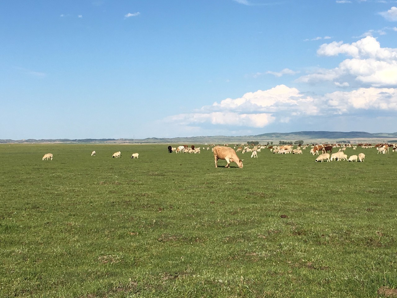 小马拉大车监控实拍各地小马拉大车姐弟乱伦家庭监控