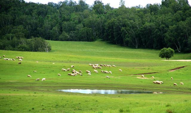 亚洲精品午夜无码专区