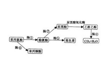 男🌈动漫 轻松搞笑与深情并重