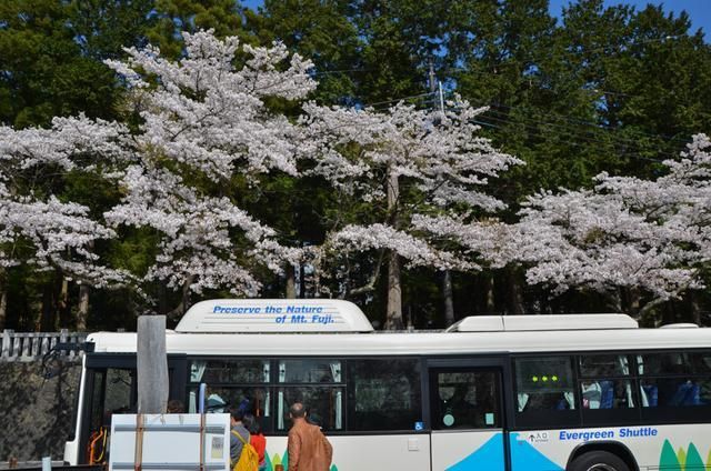 国产精品免费看久久久7