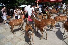 性感综艺 暧昧氛围和魅力展示