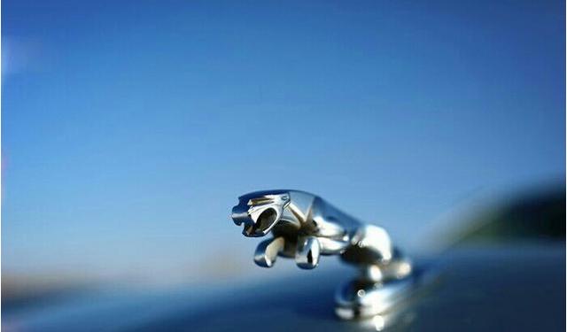 拔擦拔擦永久华人免费