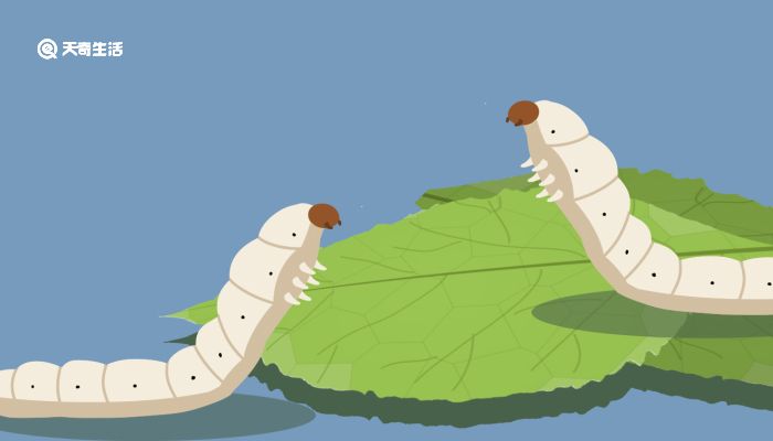 禁忌tonghua 我非常乐意为你提供帮助