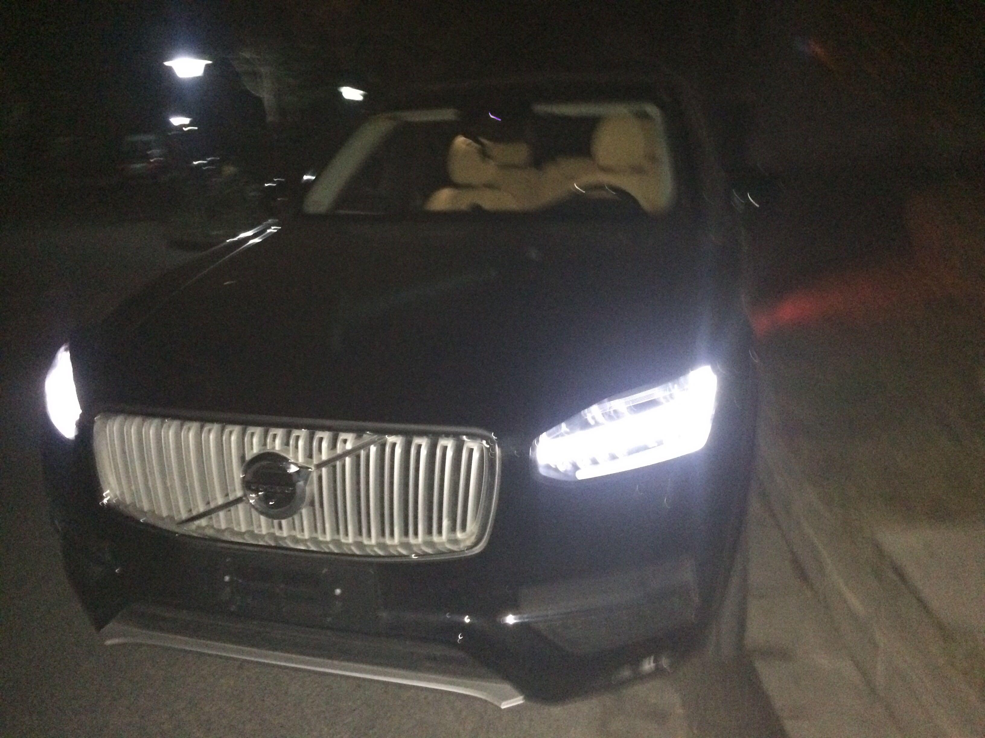 啄木鸟在线看 我还没有学会回答这个问题