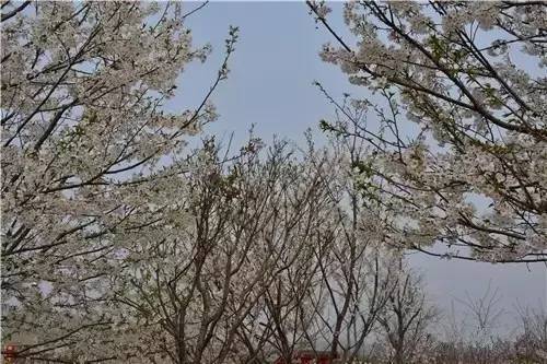 禁 漫 +网 3 d 网络空间不是禁漫网法外之地