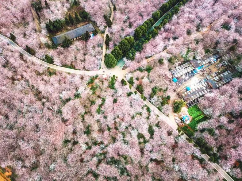 顾暖暖全文免费阅读