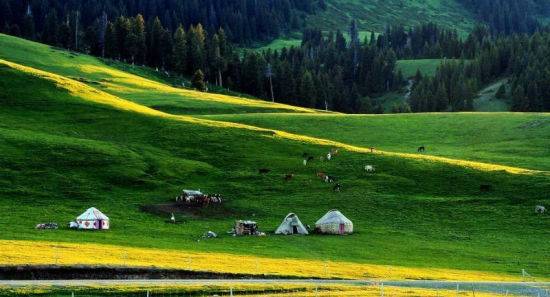 色婷婷我要去我去也 色婷别忘了它的婷去社交属性