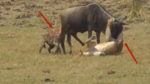 高清无码专区av 一不小心就点到恶意软件