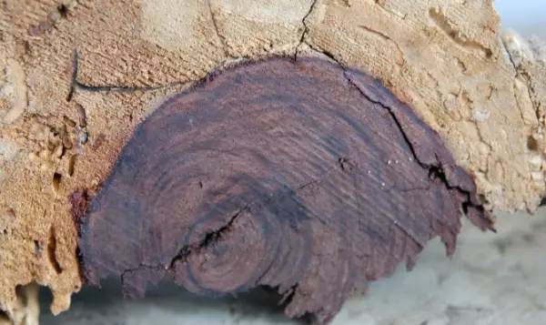 亚洲欧美综合精品AⅤ一区二区