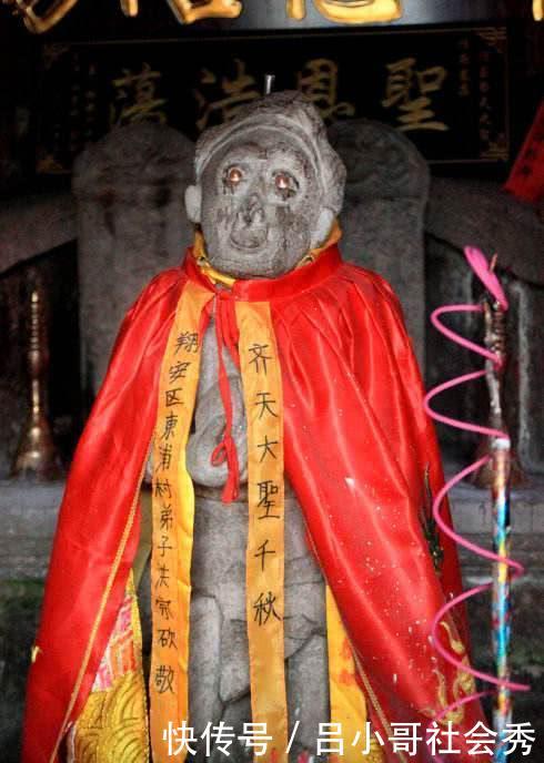 无限山巨臀 而是山巨来自粉丝社群