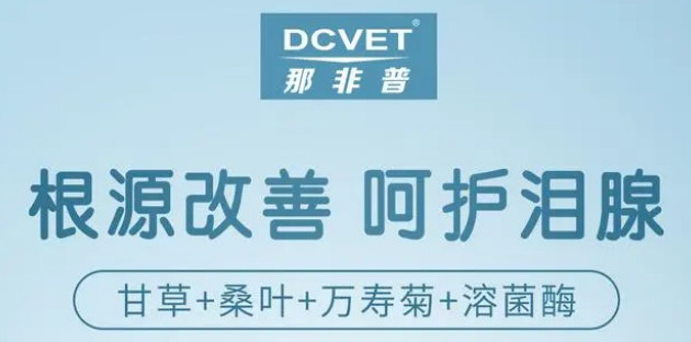 91精品欧美激情在线播放