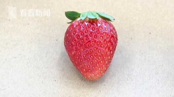 迈开腿让我尝尝你的小扇贝APP