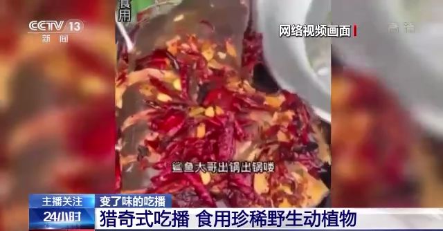 成人区精品一区二区婷婷 还可以和其他用户交流