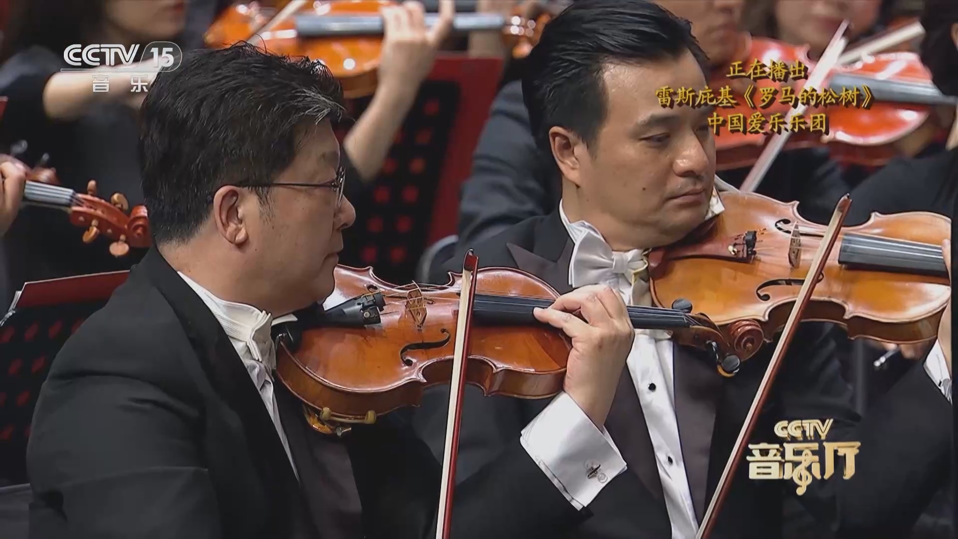 五一吃瓜每日大赛，