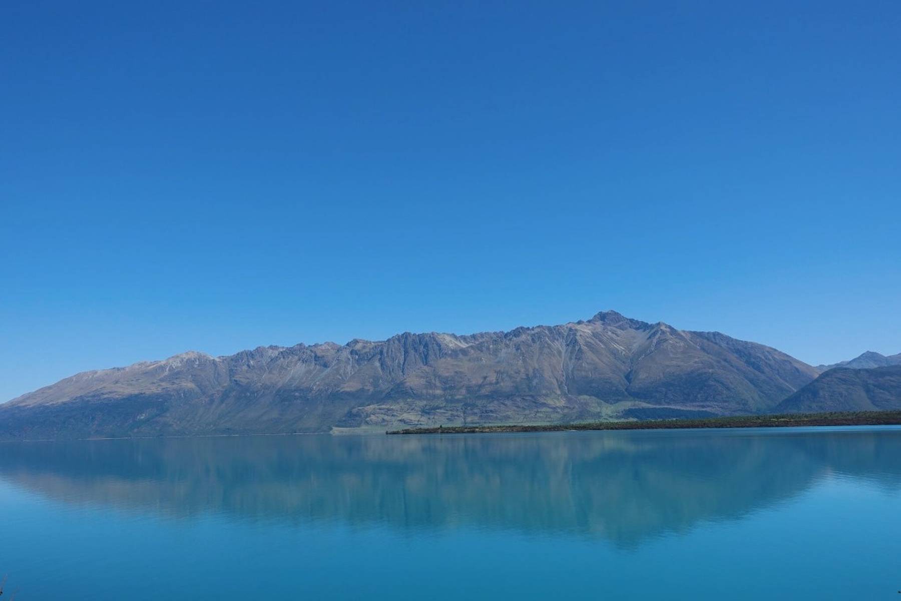 污视频 知识分享等优质内容