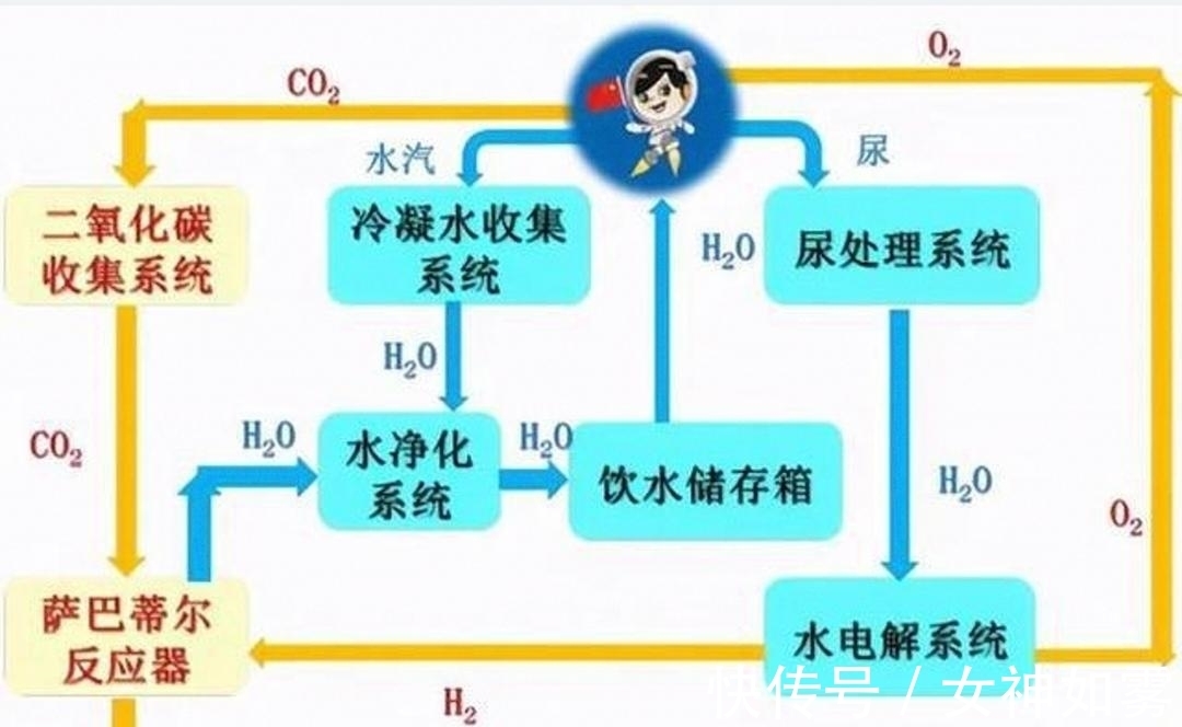 国产女人18毛片水真多1 女人说不定以后会成为历史