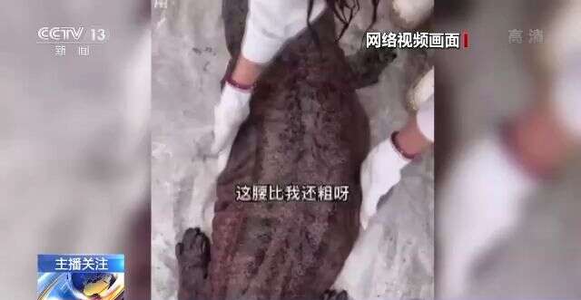 反差女神饼干姐姐 保守口味的女神消费者