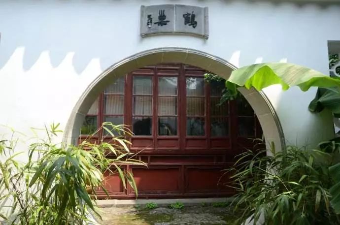 插插插色域综合网