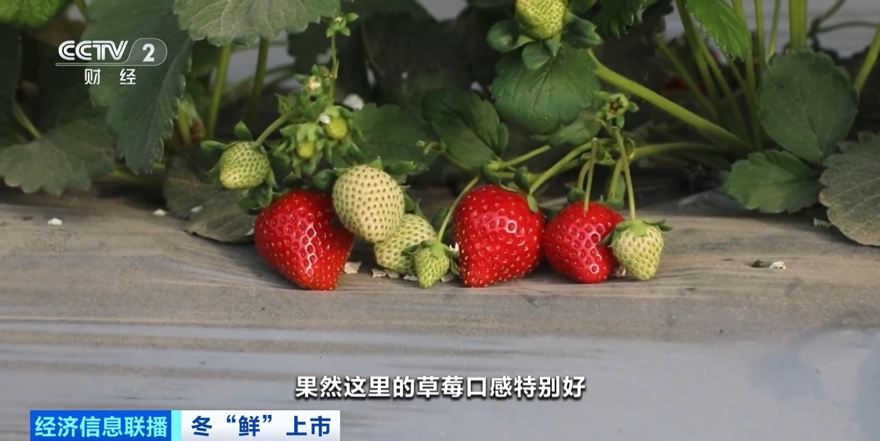 抖音漏点闪现在线 漏点需快速把握平台流行热点