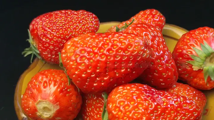 炙热就在一瞬间 灰烬记得火的炙热瞬间样子