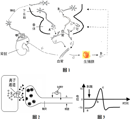 免费电影网站 电影网络环境为100M宽带