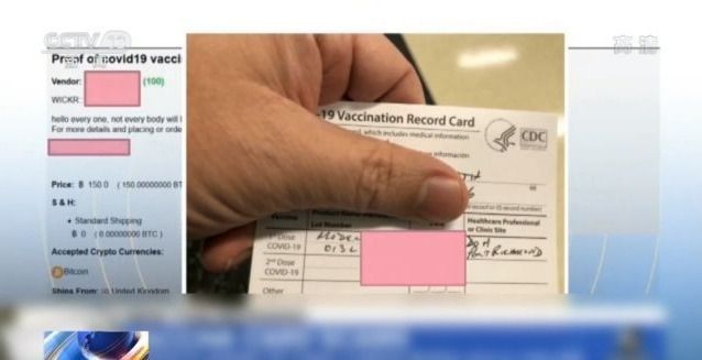 野荷塘在线观看