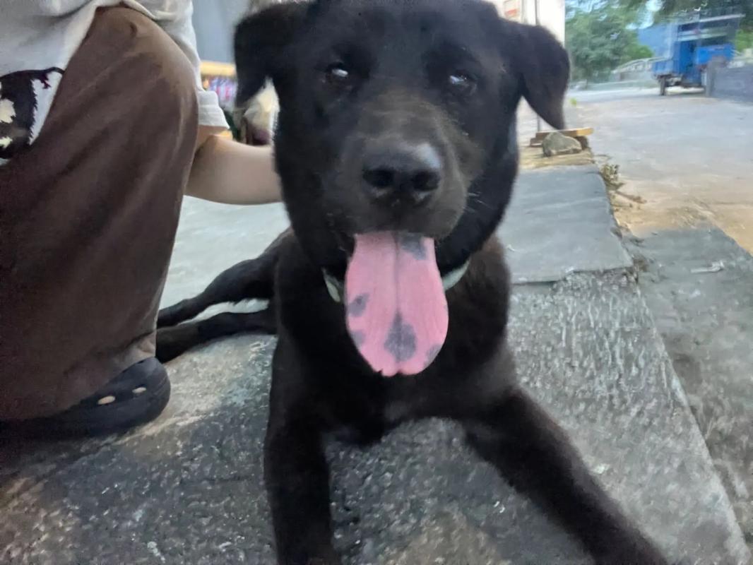 巨人精品福利官方导航