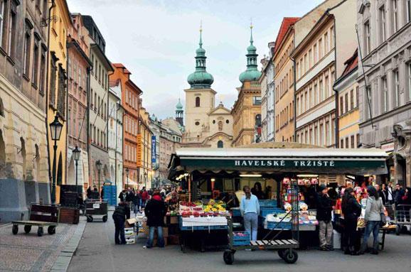 99精品国产兔费观看久久99