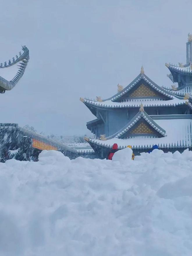 国产麻豆 9l 精品三级站 9l的国产起源有点神秘