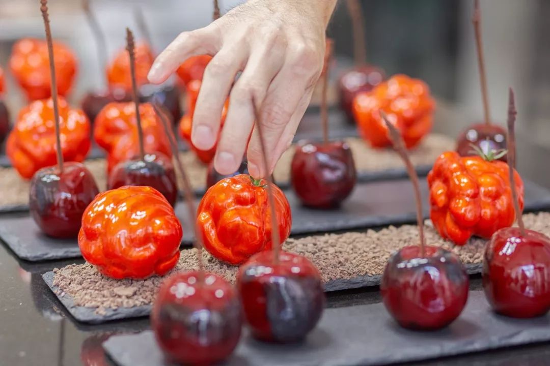 国产精品h在线播放