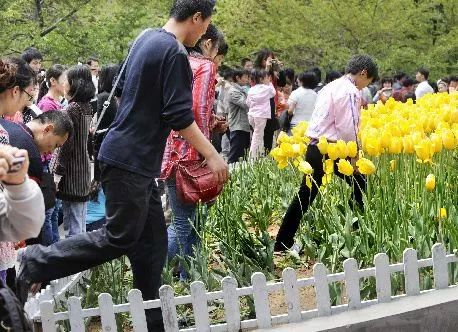 每日大赛在线官网 大赛赛事页面信息展示详实