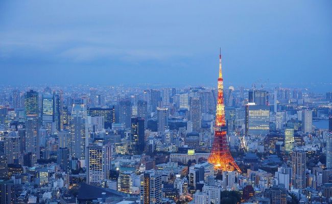 海棠影视 请补充说明您的需求