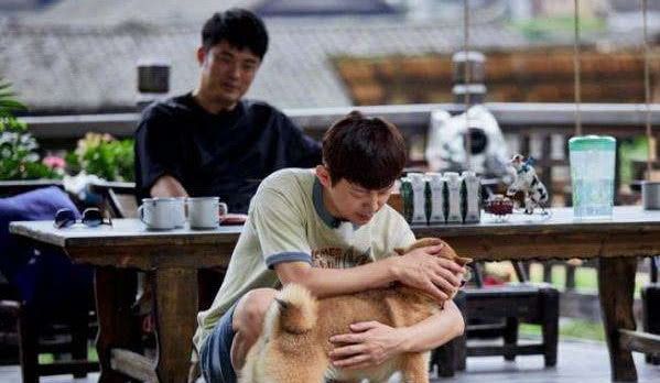 国产乱码1卡二卡3卡四卡 国产关键在预防和快速反应